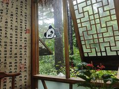 -小小饭店·休闲农庄·安吉松树林里的农家菜