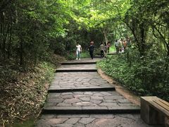 -武夷山风景名胜区-虎啸岩