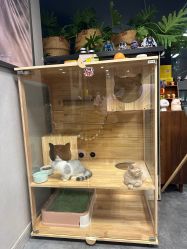 -極致刺青TATTOO STUDIO 私人订制