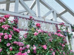 -太阳宫公园