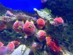 -泉城欧乐堡海洋极地世界