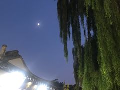 -猫的天空之城概念书店(苏州平江店)