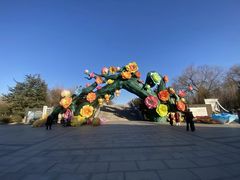 -洛阳市隋唐城遗址植物园