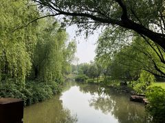 -上海滨江森林公园