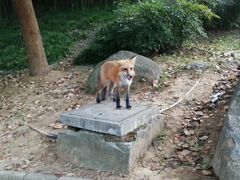 -南京市江宁方山