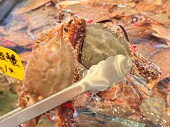 -大锅强·蒸海鲜青岛菜(金沙滩店)