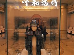 -呼和浩特博物馆