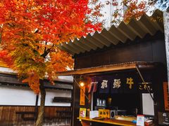 -医王山·飞騨国分寺