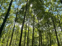 -贵州森林野生动物园