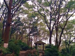-忠山公园