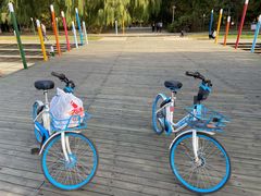 -长白岛森林公园