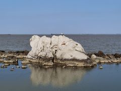 -上海吴淞炮台湾国家湿地公园