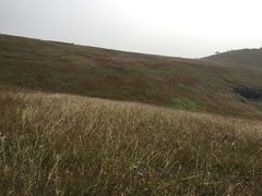 -恋山坝上草原