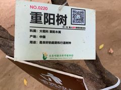 -呀路古热带植物园