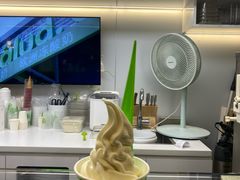 -Salud撒露欧洲冻酸奶(蓝色港湾店)