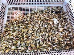 -海贡平价海鲜超市