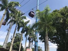 -圣淘沙天际线斜坡滑车