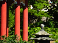-颐和园