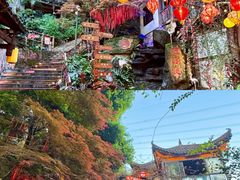 -巴倒烫陆派火锅山庄(南山总店)