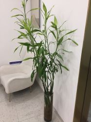 -苗方清颜·祛痘皮肤管理