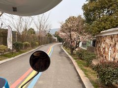 -苏州太湖西山岛开心农场
