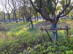 -上海海事大学(临港校区)