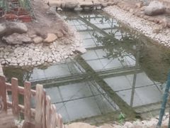 -上海都市菜园