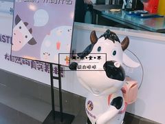 -一只酸奶牛(海南友谊阳光城店)