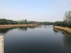 -大兴滨河森林公园