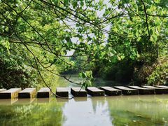 -桤木河湿地公园