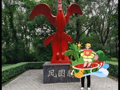 -沈阳鸟岛