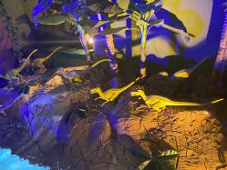 -恐龙探索乐园(磁器口店)