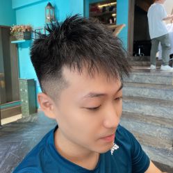 点击看大图 -金棕榈