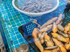 -渡海小渔村.老辈日照菜