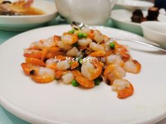 手剥凤尾河虾仁-新吉士·上海菜(浦东LCM置汇旭辉店)