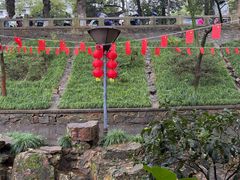 -兴福老面馆(寺路街店)