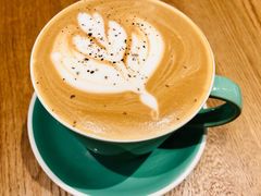 -Wagas沃歌斯(汇智店)