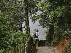 -梦幻奥陶纪景区
