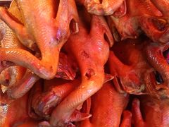 -老字号周记古蔺麻辣鸡·非物质文化遗产传承店