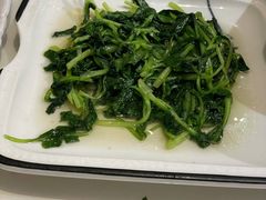 清炒鸡毛菜-19号私房菜(云南路店)