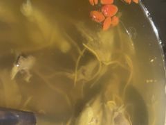 -鸽子侯·家宴·平价海鲜(市图书馆店)