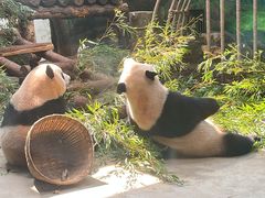 -杭州动物园