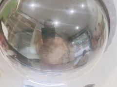 -辛巴宠物医疗中心·骨科·内分泌专科·心肾专科(亭林公园店)