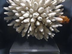 -天津自然博物馆