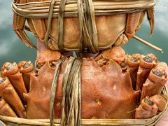 -小陆莲花蟹园农家乐(莲花岛店)