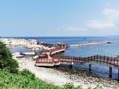 -养马岛旅游度假区
