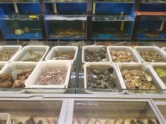 -小天妃海鲜酒楼(西马庄店)