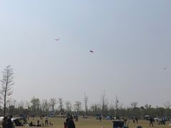 -上海长兴岛郊野公园