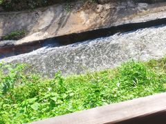 -五龙源极限漂流