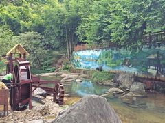 -广州白江湖森林公园